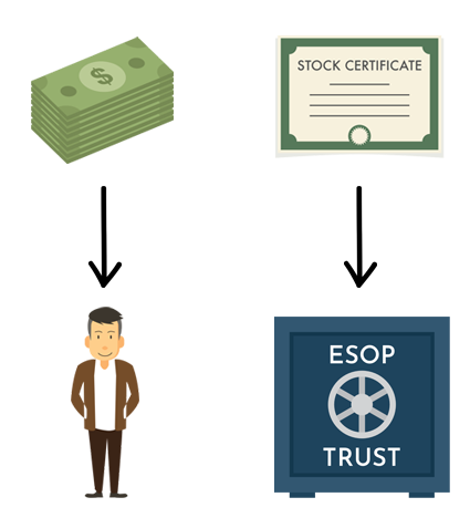 Purchasing Company Stock